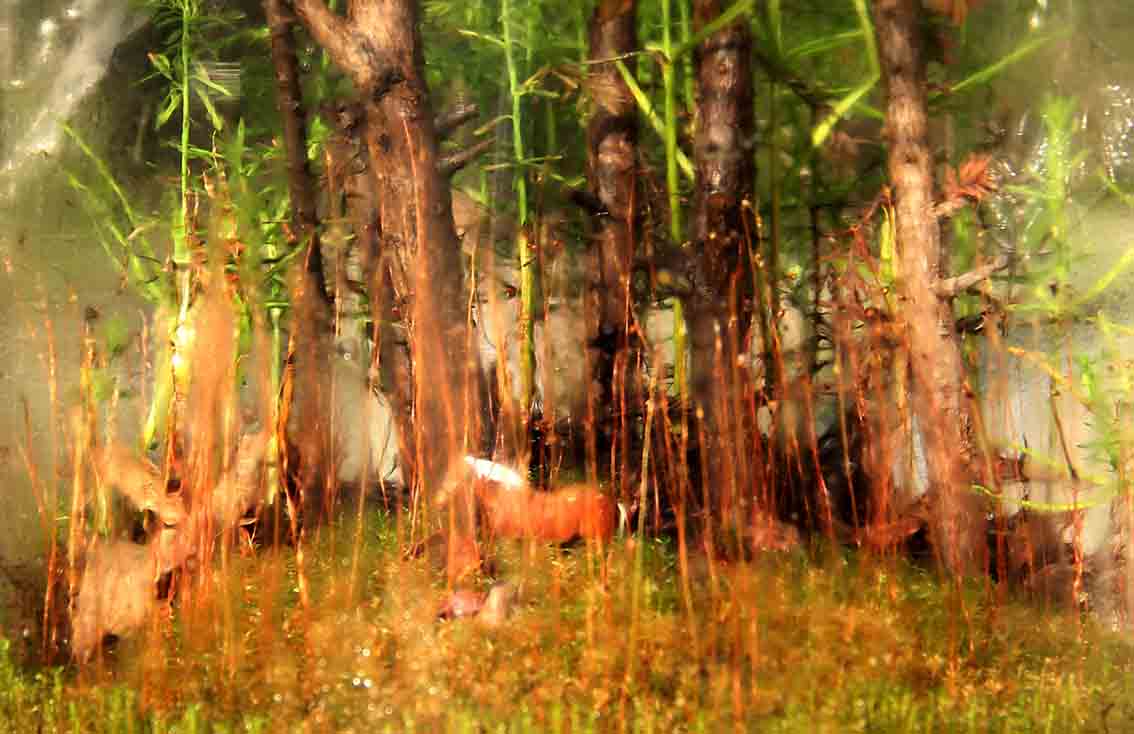 Daniel Pavon Cuellar Art